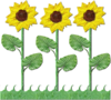 Flowers Row Of Sunflowers Image